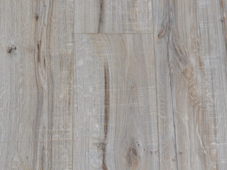 CUDTF 4110 Mountain Ash 2