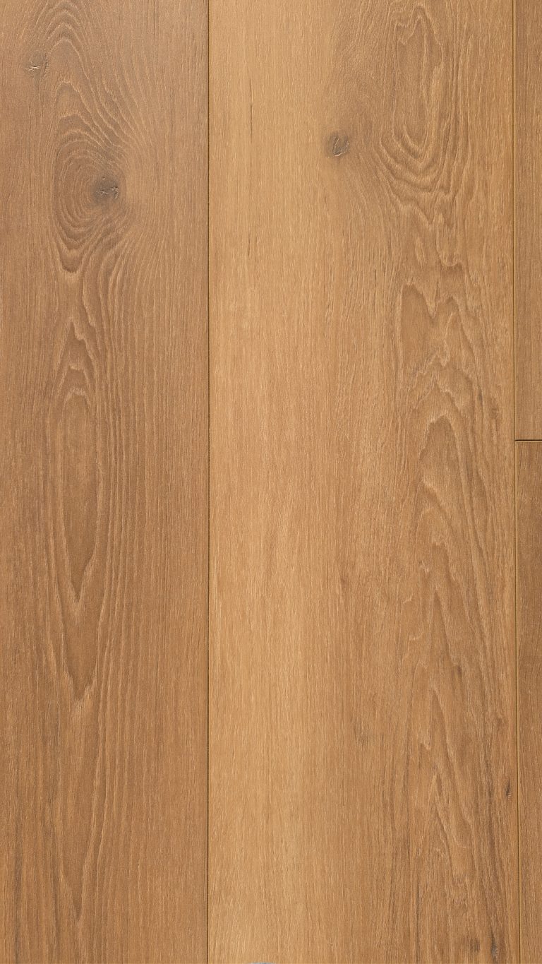 PXL_20260304_002849222