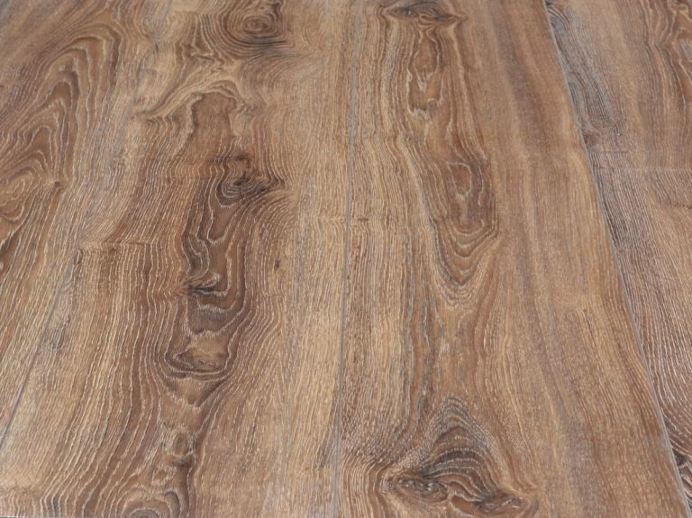 RELB9304 Souther Magnolia R2