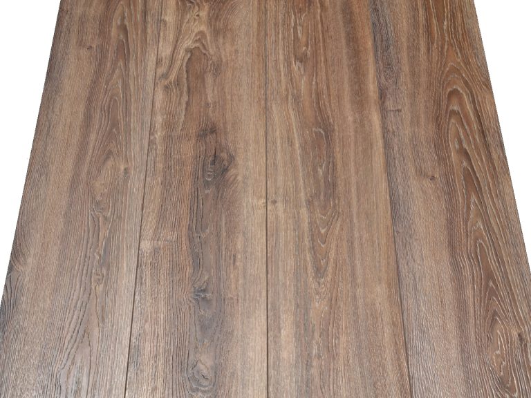 RELB9304 Souther Magnolia R3