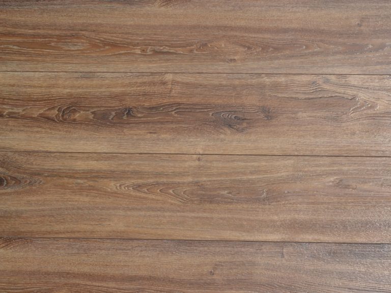 RELB9304 Souther Magnolia R4